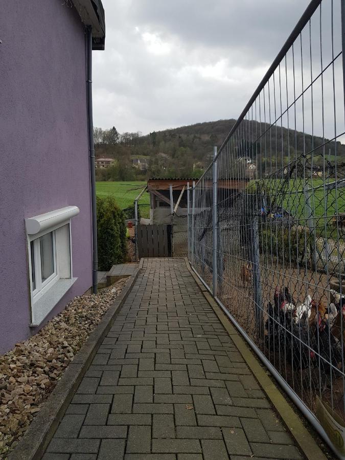 Ferienwohnung Lila Pause Ellweiler Exterior foto